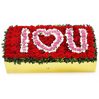 ǰ̹
