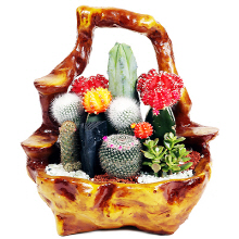 ǰ̹
