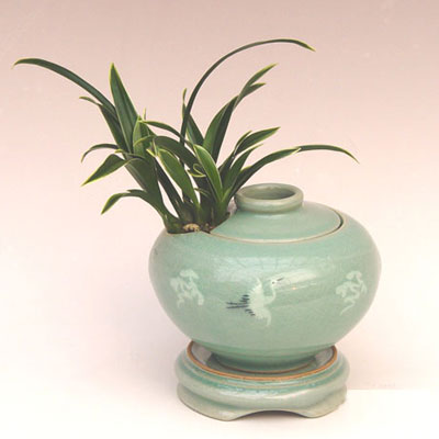 ��ǰ�̹���