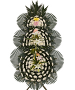 3 ȭȯ
