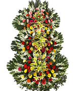 3ȭȯ