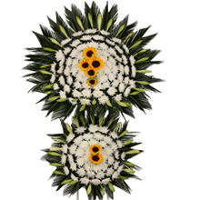 ǰ̹