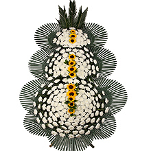 ǰ̹
