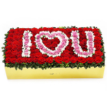 ǰ̹