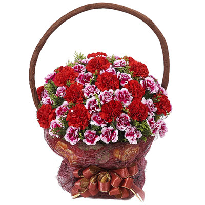 ��ǰ�̹���