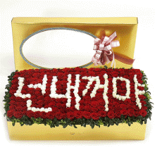ǰ̹
