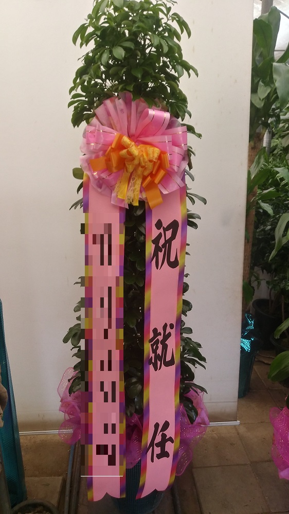 (ȫ)